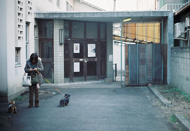 ochabang:  000029 by *dapple dapple on Flickr.