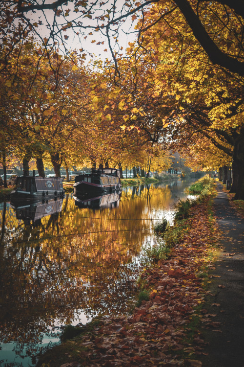 Autumn Reflections