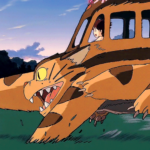 nicostiel:🐱 Studio Ghibli Cats 🐈