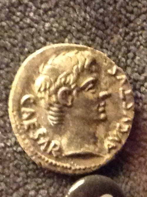 the-fault-in-marys-life:Archeological Museum of Paestum, Italy - just some interesting roman coins.