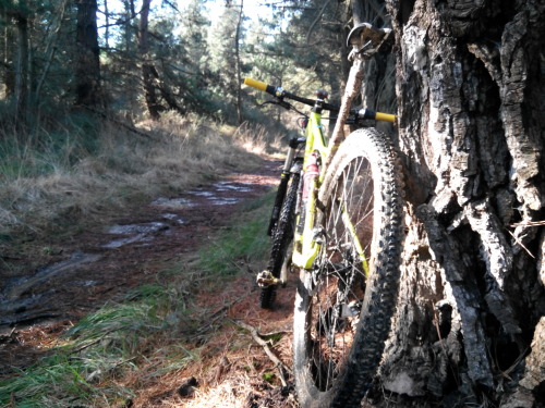 charlyast:  Aprovechando el poco tiempo que tengo en el #Finde en una de mis pasiones….#BTT @MTB #As