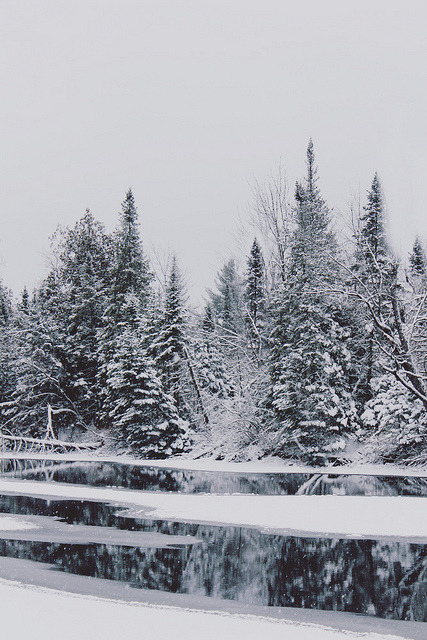 arcanja:  sem título by Emily Boyer Photography on Flickr.