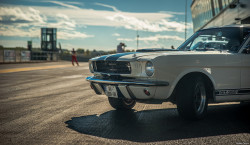 ford-mustang-generation:  Nogaro - Classic