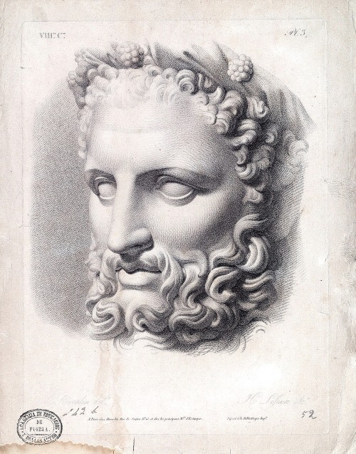 hadrian6:   Bacchus - Study of a Male Face