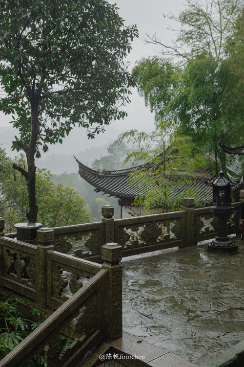 fuckyeahchinesegarden: March in hangzhou杭州, zhejiang province by 陈帆fotochen