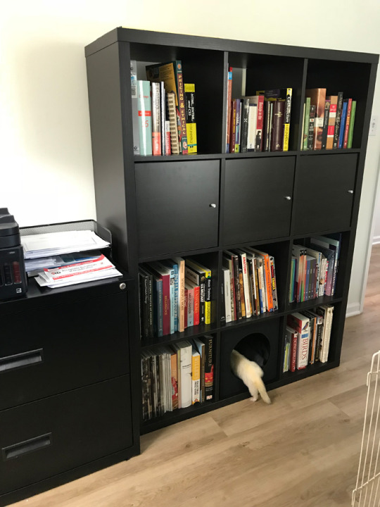I got a new bookshelf, y’all.