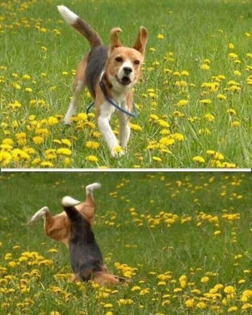 My Life In A Picture