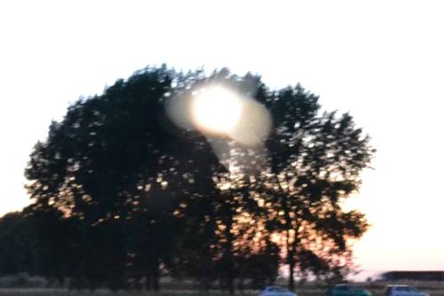 nuclearharvest:strange orb pictures from same location