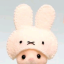 sonnyangelenthusiast