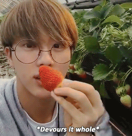 minpuffs: Jin went to a strawberry farm!