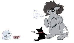 ask-cristice:  cat wants to fight me , i’ll