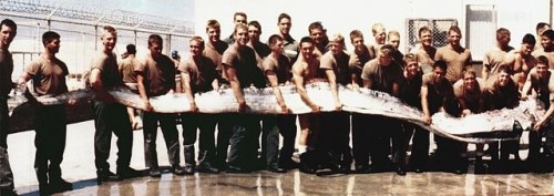 unexplained-events: Deep-Sea Gigantism (abyssal gigantism) In zoology, deep-sea gigantism, also know