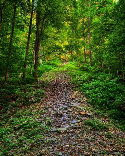 oneshotolive:  Taughhannock Falls, Ithaca NY [3024x3780] 📷: AestheticCopacetic 