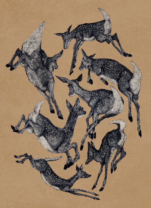 JOHN STORTZ (b. 1988)Wild Abandon / KeepEm Coming / Absence / Spring Fauns / Major Minor / Corvus