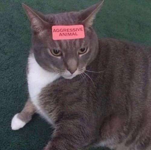 Hes So Done