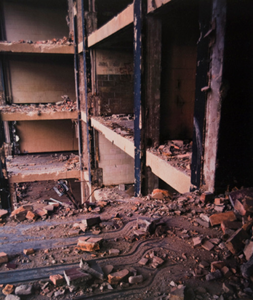 cyberwave:  Alex Fradkin, Public Housing (1999)