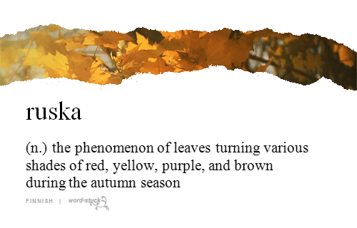 word-stuck:  autumn colours on Wordstuck adult photos