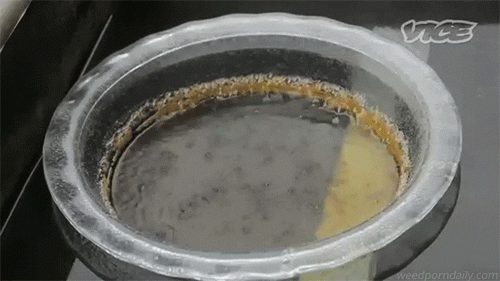 weedporndaily:  extracting butane hash oil (x) 