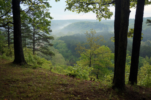 Mild the Mist Upon the Hill by Buford Blue