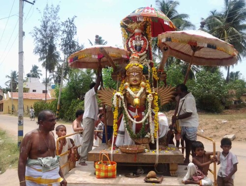 Garudotsavam for Keertinarayana Perumal