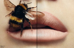 resplend3nt-rap4cious:The Bees knees, Ms @buggybee ❥