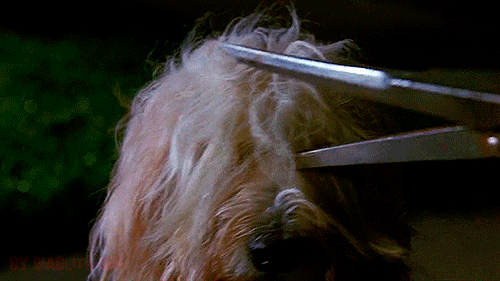 Edward Scissorhands (1990) Film