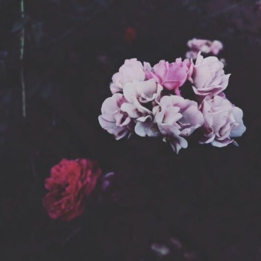 f-a-u-x-sourires:Ojalá te hubiera olvidado, cómo se lo hice creer a todos.~the-girl-with-the-broken-smile