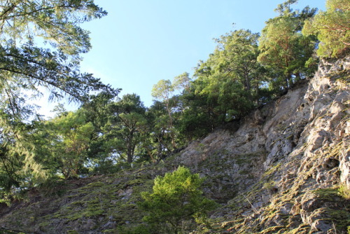 Here’s a few of the shots I took Monday while hiking for my photography class.