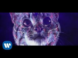 Metalinjection:  Cats Take Over In Mastodon’s “Asleep In The Deep” Video What