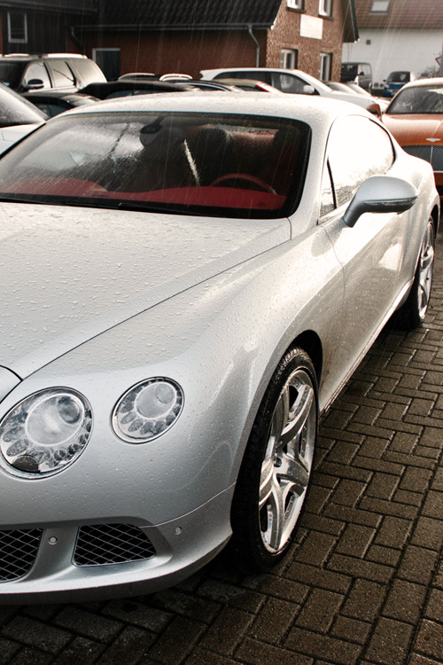 Luxury Kingdom