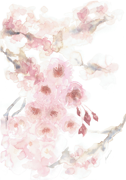 kamiiramaria - Cherry blossom, my first time painting without a...