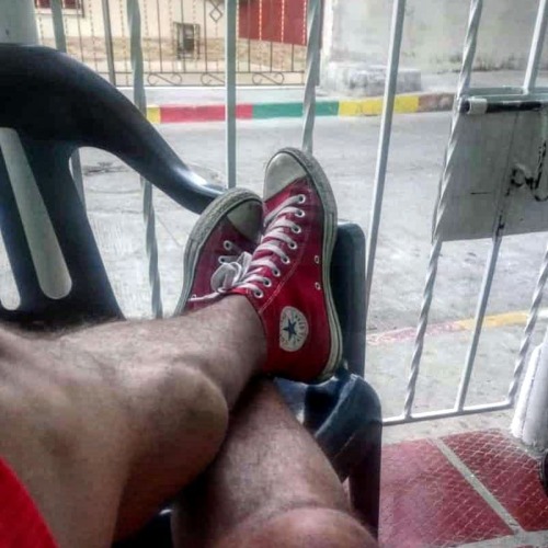 Just chilling #begainster #calves (en Santa Maria, Barranquilla) https://www.instagram.com/p/B7CTB7O