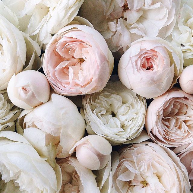 floralls:    by anna remarchuk    