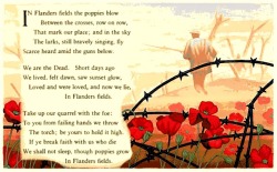 gdfalksen:  In Flanders Fields - by John