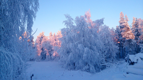 lienwyn - Christmas Eve in Bergnäs. My fingers were stiff from...