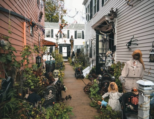 One year ago.#halloween in #Salem MA#fall #autumnpeople #autumn #autumnseason #fallseason #fallpeopl