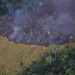 napkinpoetess:if you didn’t know, the amazon rainforest is on its 16th day of burning. my heart is broken, this is so saddening, and upsetting and nobody is doing anything about it. the amazon is the world’s largest tropical rainforest. covering