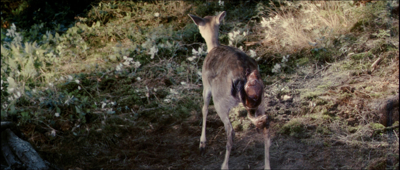 abderrahmane-sissako:  Antichrist (2009)
