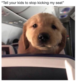 maedchenklistierer:  Daddy in the plane …