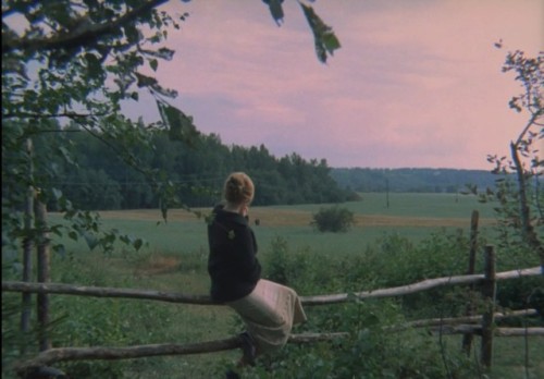 Зеркало || Mirror (1975)dir. Andrei Tarkovsky