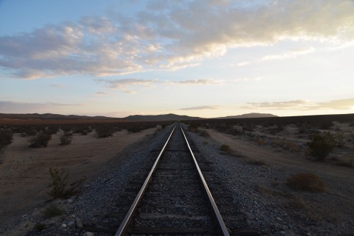 danielodowd:  jasenmartin