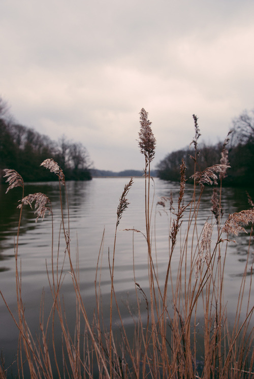  Vintage and Nature 