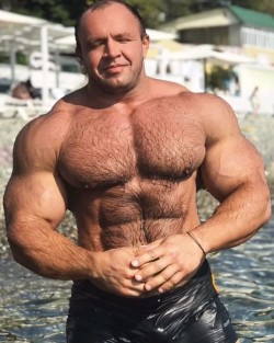 Musclebears & Co.