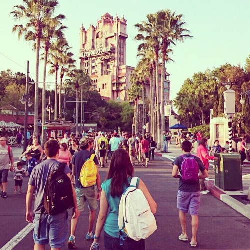 wheredoyoutravel:  A donde quieras viajar ésta semana santa, PACO te acompaña! Aquí está en Orlando, Estados Unidos! via Instagram http://ift.tt/1CJZ4nz