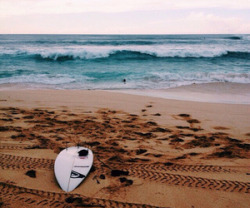 asurferdreams:  Surfing posts