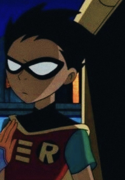Robin Appreciation Post