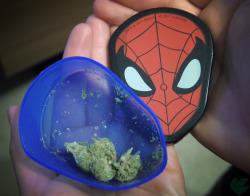 weedporndaily:  Spider stash 