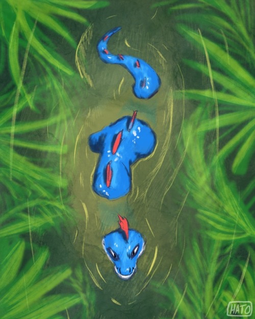 hatosaurus:Swimming down the river…