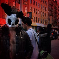 Mott Street Panda - Chinatown/NYC 2013 #alexanderguerra