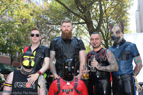 Sex Great hanging with the Perth pups while in pictures